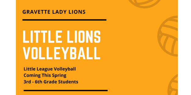 Little Lions Volleyball