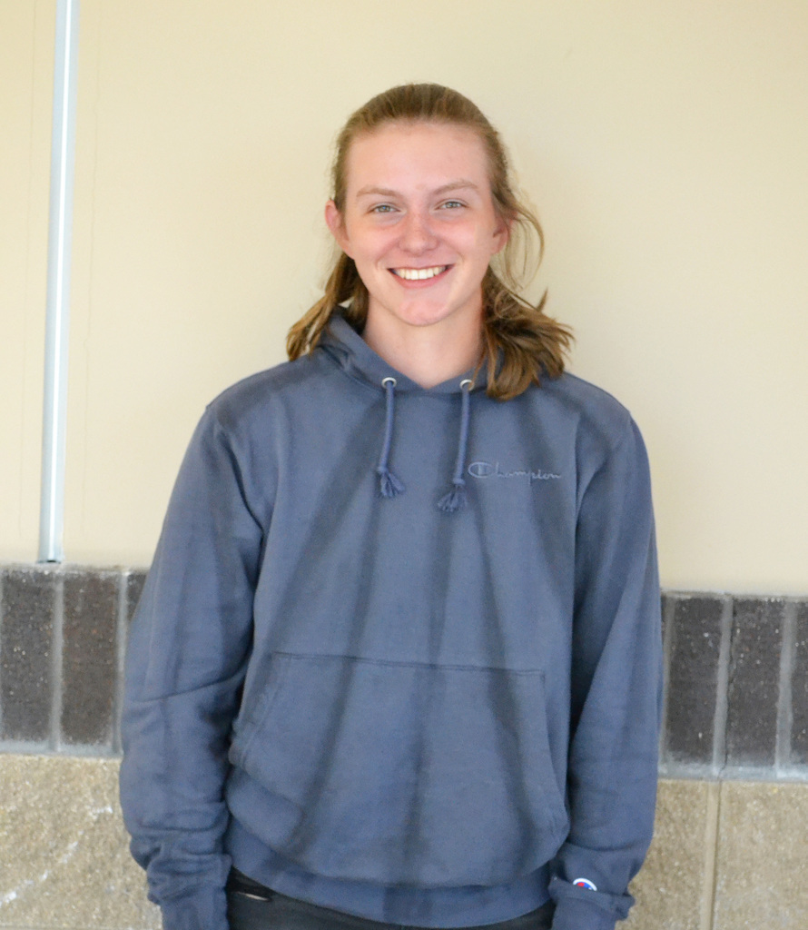 rachel-diehl
