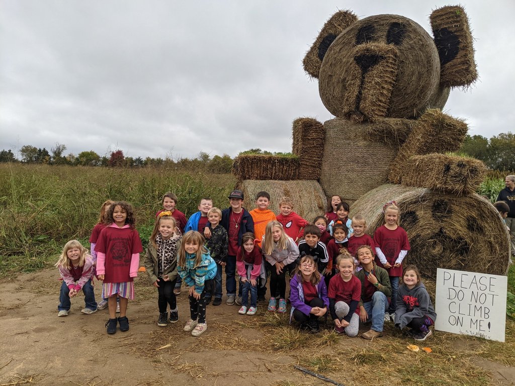 Exeter Corn Maze