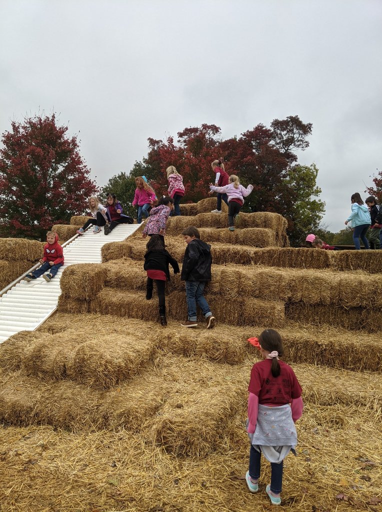 Exeter Corn Maze