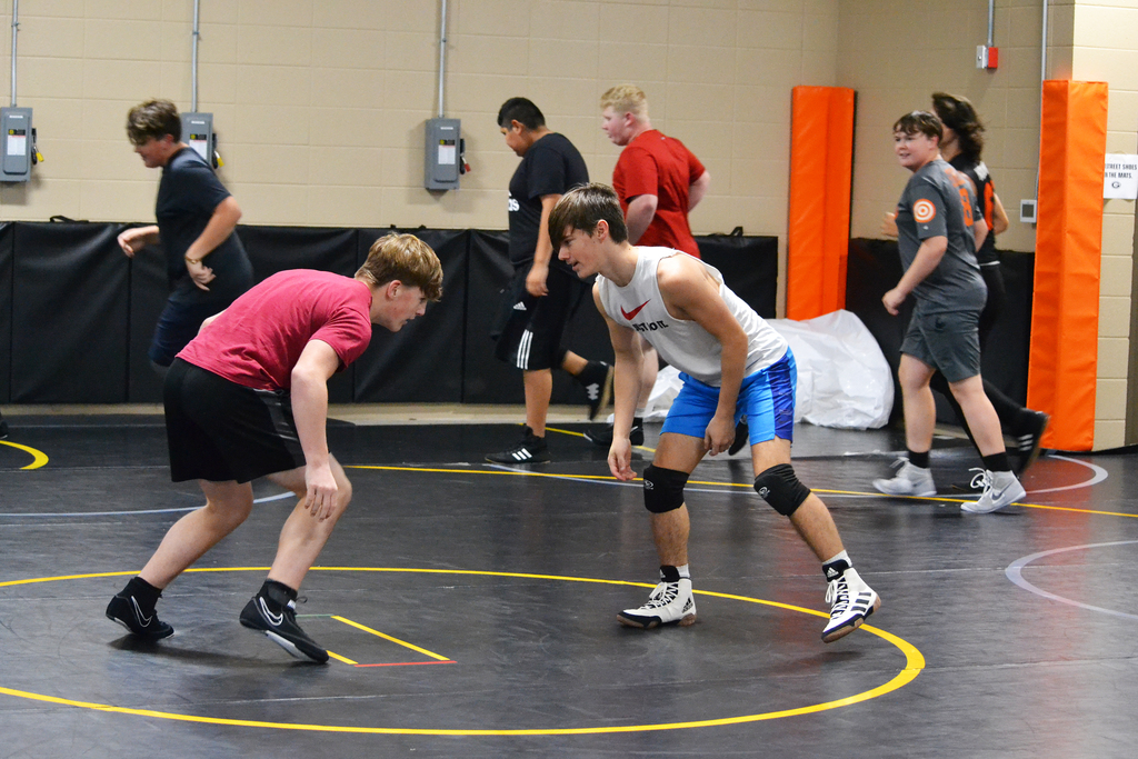 wrestling