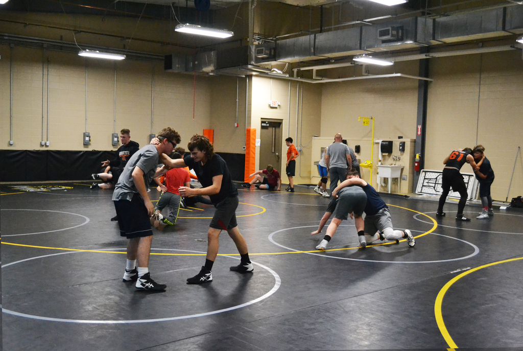 wrestling